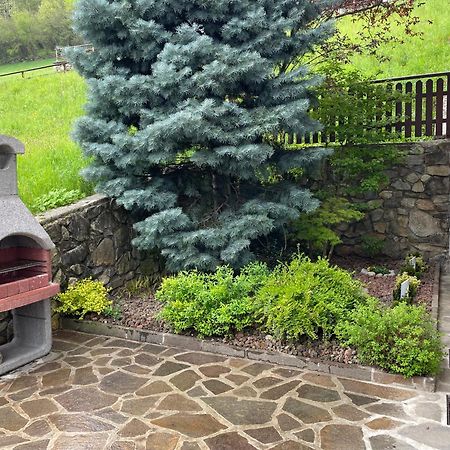 Villetta Sulle Dolomiti 프라코르노 디 라비 외부 사진